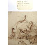 Attributed to Aert Schouman (1710-1792), Studies of birds, pen and ink, with a further study verso,