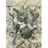 Harrison William Weir (British, 1824-1906), The Pleading of the Birds, print, 36.5 x 27cm.