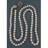 A single row necklace of uniform cultured pearls, with a gold and cultured pearl oval set clasp,