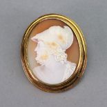 A gold mounted oval shell cameo brooch, carved as the portrait of a gentleman in a toga,