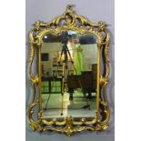 A Rococo style gilt wall mirror, 70cm wide x 117cm high.