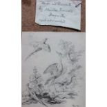 Follower of Alexandre Francois Desportes, herons and pheasants, pencil, bears a signature, unframed,
