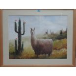 Darwin Havez (Contemporary), Peruvian Alpaca, watercolour, signed, 53cm x 71cm.