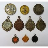 A group of ten medallions and awards, comprising; two Belfast Dog, Poultry and Pigeon Society,