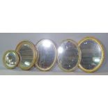 Five 20th century gilt framed oval wall mirrors, the largest 67cm wide x 59cm high, (5).