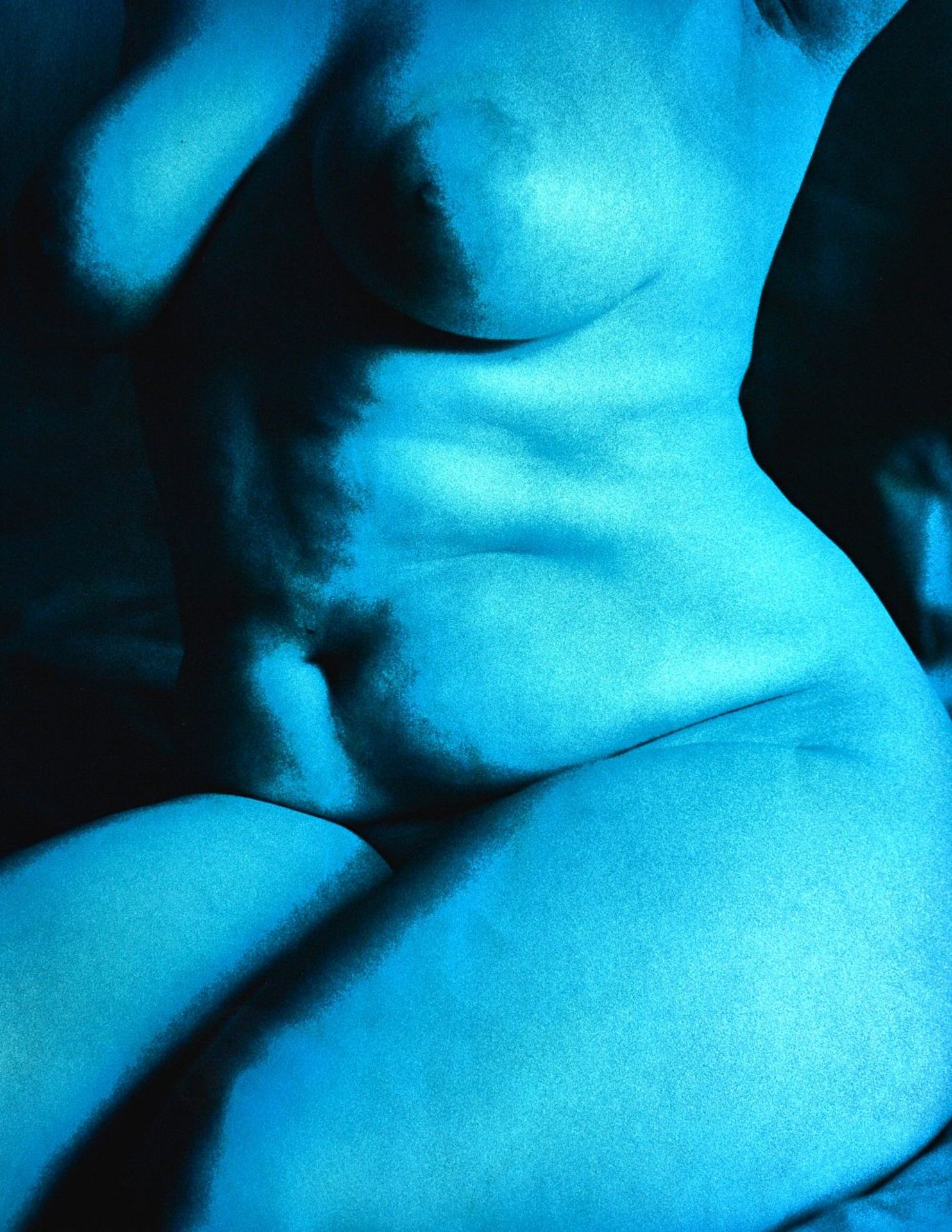 NICK ROSS (Contemporary) Nude female t - Bild 2 aus 4