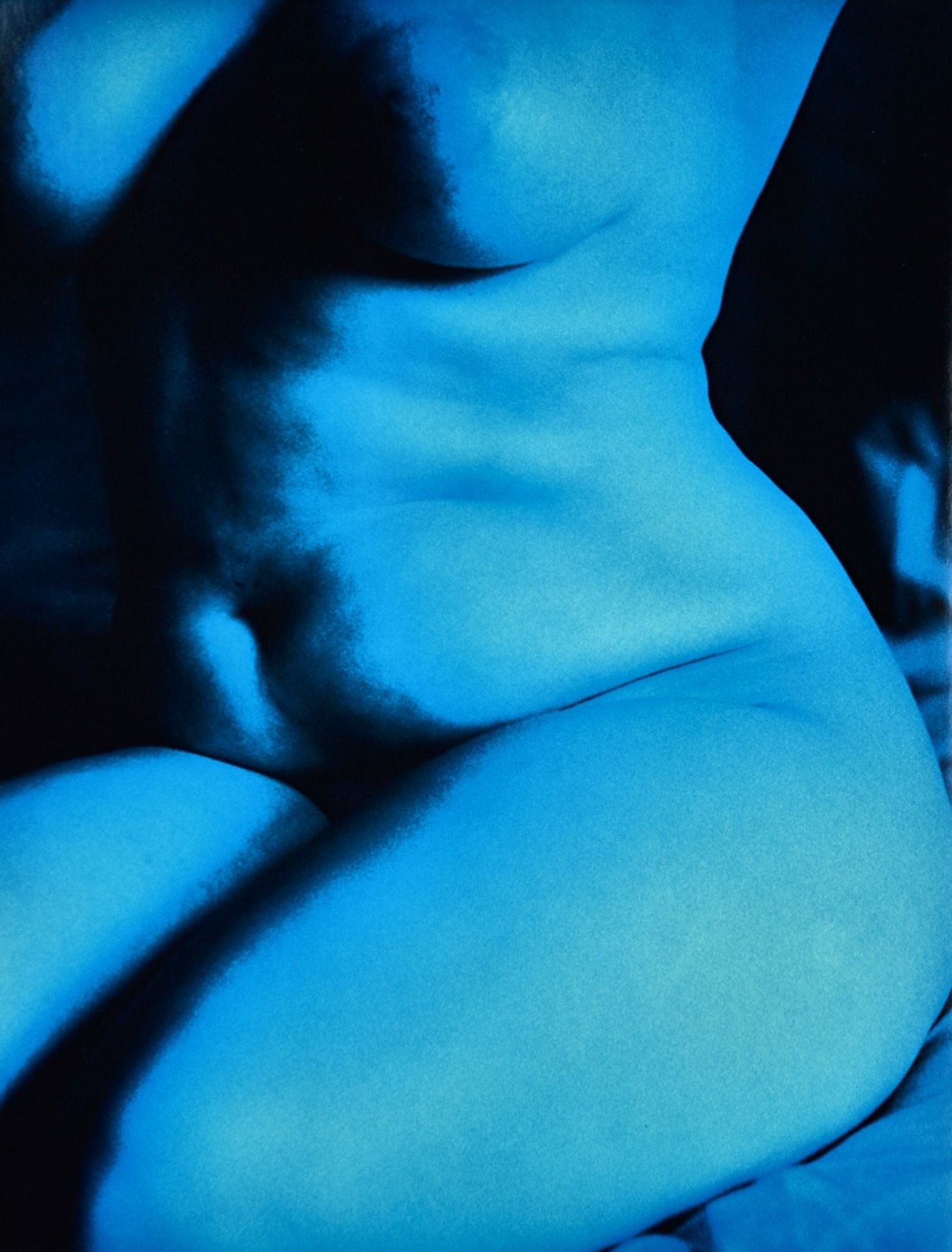 NICK ROSS (Contemporary) Nude female t - Bild 3 aus 4