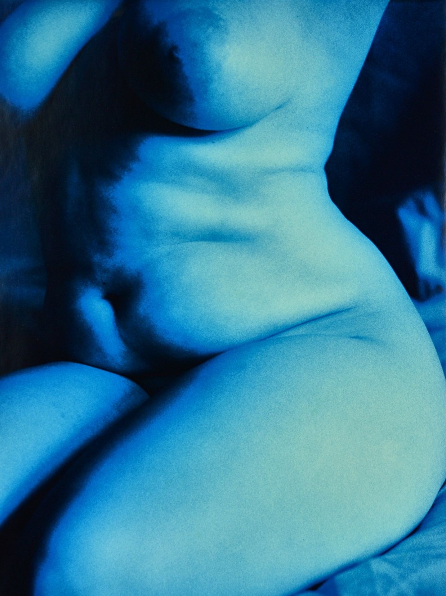 NICK ROSS (Contemporary) Nude female t