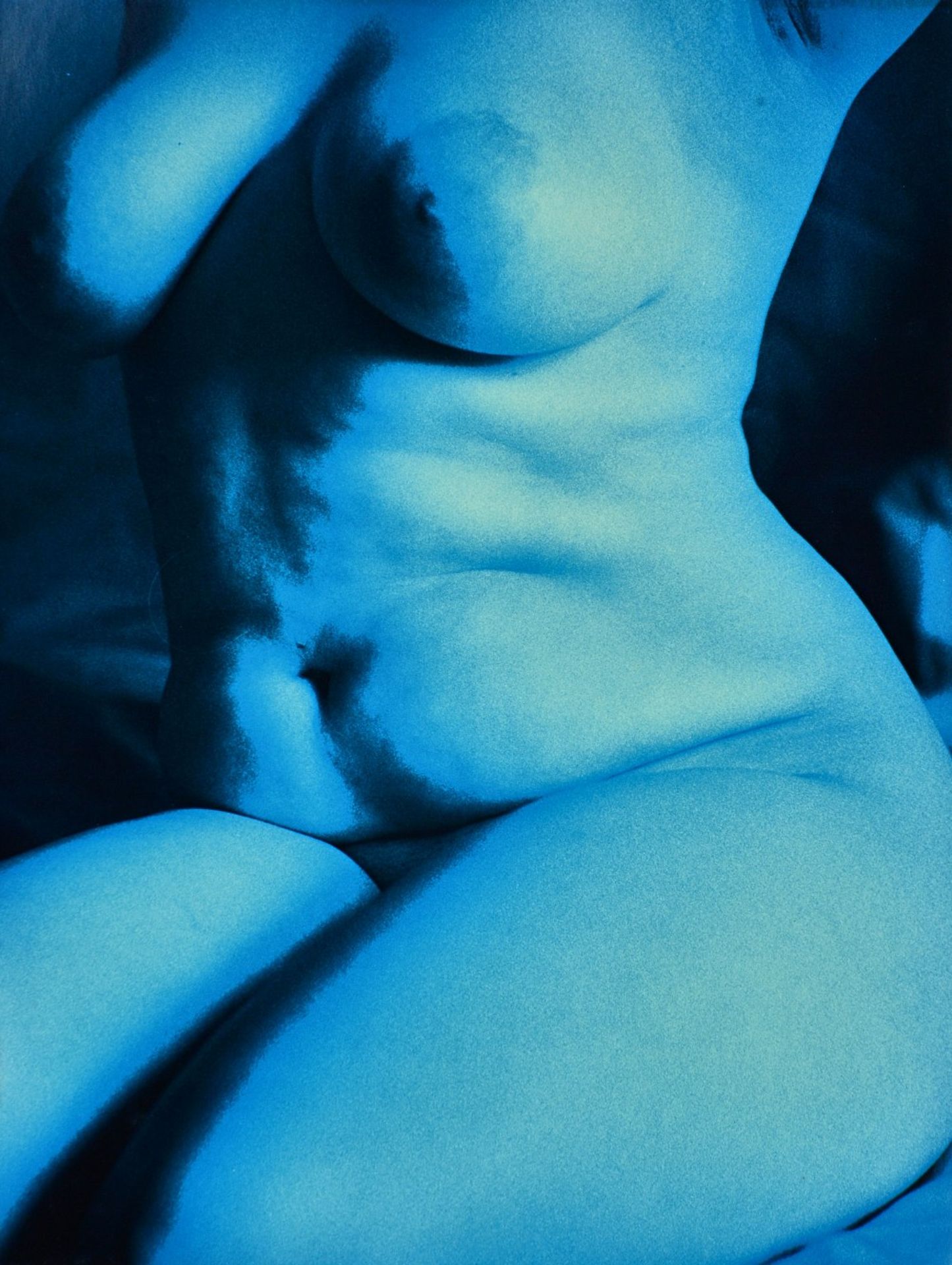 NICK ROSS (Contemporary) Nude female t - Bild 4 aus 4