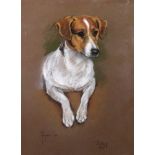 Marjorie Cox (British,1917-2003), a Jack Russell, Joey, signed,