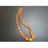 A graduated amber necklace (approx 26") weight approx 59.