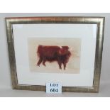 Stella Parsons (20th/21st century) - 'Highland Cattle', oil on paper, framed, (22 cm x 32 cm).