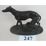 A French indistinctly signed bronzed metal sculpture of a greyhound on naturalistic base,
