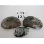 Three highly polished fossils, two ammon