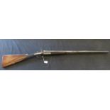 Army and Navy, 12 bore hammer shotgun, s