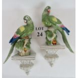 A pair of 20th century continental porcelain wall mounts modelled as parrots perched upon wall