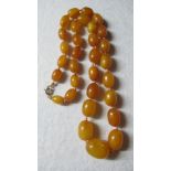 A graduated amber necklace, approx 26" a