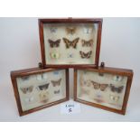 Taxidermy - three cased sets of named butterflies est: £40-£60