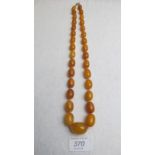 A graduated amber necklace, approx 26" a