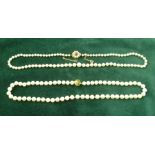 A GRADUATED SINGLE STRAND OF CULTURED PEARLS with 9ct gold, garnet and pearl set clasp, together