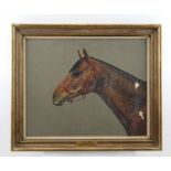 PIERS WILLIAMS "Troy, 1980", an equine portrait study, Oil on panel, 37cm x 45cm in gilt frame