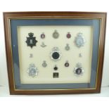 A FRAMED COLLECTION OF POLICE HELMET BADGE PLATES AND OTHER BADGES; contains fifteen in all,
