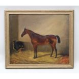 19TH CENTURY ENGLISH SCHOOL A bay hunter in a stable, Oil on canvas, titled verso (on