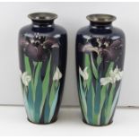 A PAIR OF 20TH CENTURY CLOISONNE VASES, having blue ground decorated with flag iris, 25cm high