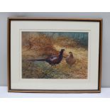 BERRISFORD HILL "Cock and Hen Pheasant, Woodland Bracken", a Watercolour painting, signed, 25cm x