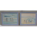 PHILLIP FOOKS "Oyster Catchers", a pair of Oil paintings on canvas, signed and dated 1988, 30cm x