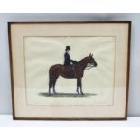 D.V. Lady in hunting habit riding side-saddle on a bay horse, an Oil on ivorine, initialled, 28cm