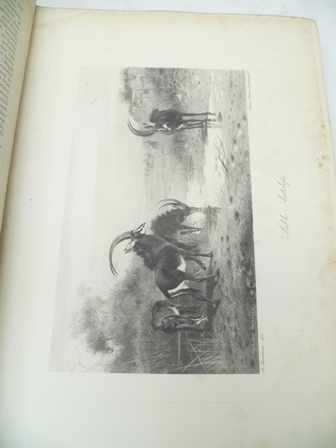 THE ENCYCLOPEDIA OF SPORT Edited by The Earl of Suffolk & Berkshire, Hedley Peek & F.G. Aflalo, pub. - Image 4 of 12