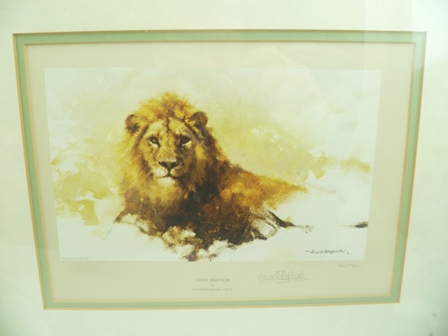 AFTER DAVID SHEPHERD "Lion Sketch" a limited edition colour print, no.242/850, image 14cm x 23cm, - Image 3 of 3