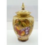 A ROYAL WORCESTER BONE CHINA VASE, with reticulated cover, having gilded moulded decoration, hand