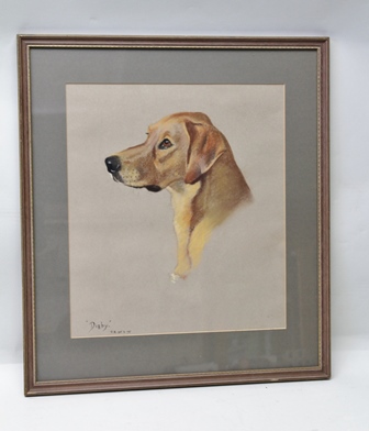 PHYLLIS BINET A portrait study of a yellow labrador, a Pastel, signed with initials, titled and