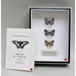 DAVID L. KENINGALE (Lepidopterist) WILDLIFE LICENCE TAXIDERMY SALES (Butterflies) Ref: CL07/2015/