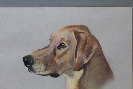 PHYLLIS BINET A portrait study of a yellow labrador, a Pastel, signed with initials, titled and - Image 2 of 4
