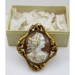 AN EARLY 19TH CENTURY GILT METAL MOUNTED SHELL CAMEO BROOCH, carved with a female bust, possibly