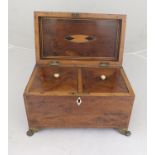 AN EARLY 19TH CENTURY YEW-WOOD TEA CADDY with metal fittings, opening to reveal twin caddy boxes