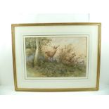 GEORGES GASSIES (1829-1919) A Stag and Hind in a woodland scape, a Watercolour, signed, 31cm x