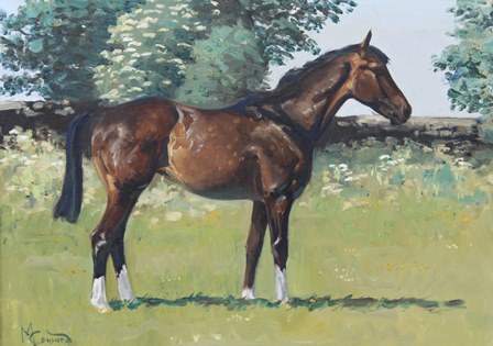 MALCOLM COWARD "Equestrian scene, horse in a summer landscape", an Oil on canvas, signed, 44cm x - Image 2 of 3
