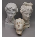 "THE BRITISH MUSEUM COMPANY" A REPRODUCTION OF A CLASSICAL HEAD, on socle base, 46cm high,