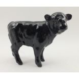 A BESWICK CERAMIC ABERDEEN ANGUS CALF