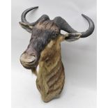 IN THE MANNER OF ROWLAND WARD A BLUE WILDEBEEST HEAD AND NECK TROPHY MOUNT, the mature beast