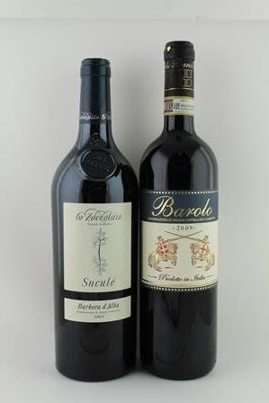 BARBERA D'ALBA 2005 Zoccolaio Sucule, 1 bottle BAROLO 2009, 1 bottle (2)