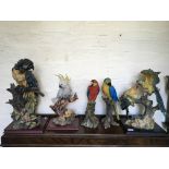 A selection of resin figurines of five parrots.