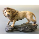 A Beswick model lion on rock, golden brown satin matt.