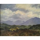 L. WARD. Framed, signed, oil on canvas, landscape of Donegal, Ireland, 44.4cm x 54.4cm.