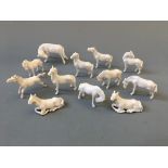 Twelve Chinese miniature white porcelain horse figurines.
