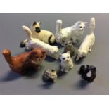 Nine Beswick cats including Siamese, white and grey.